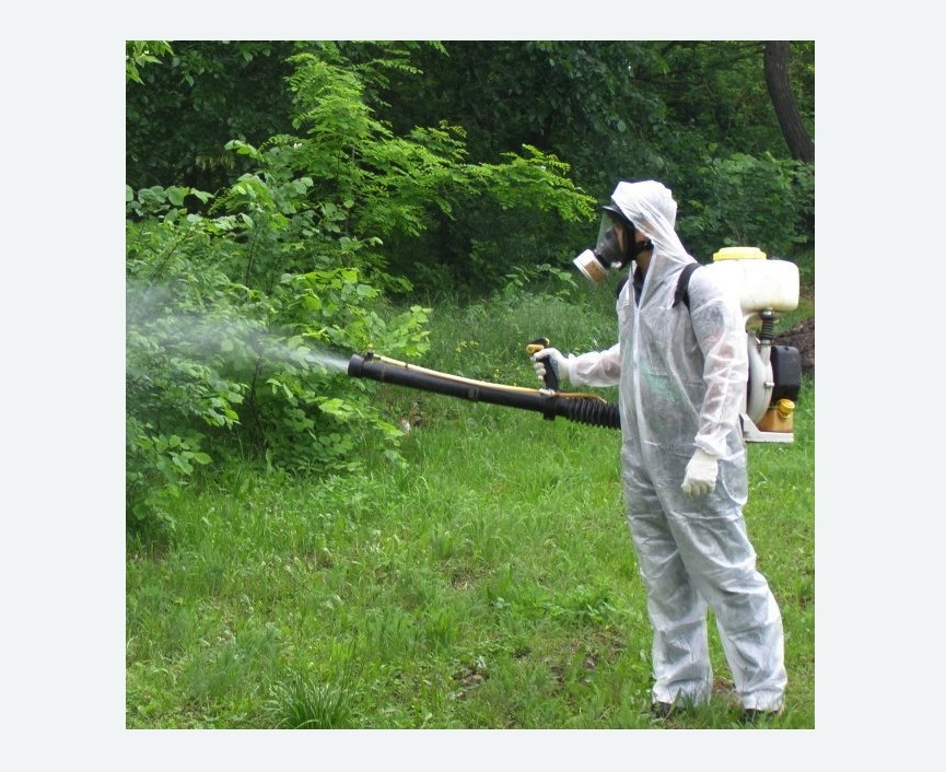 обработка территории от клещей в Комсомольске-на-Амуре