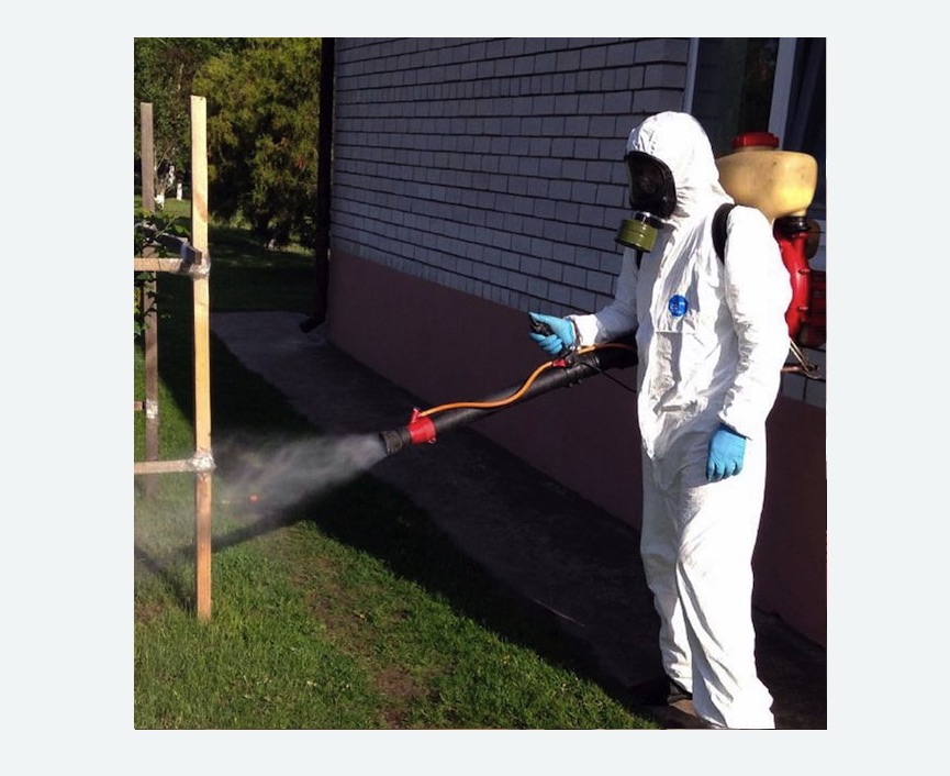 травля клещей на участке в Комсомольске-на-Амуре