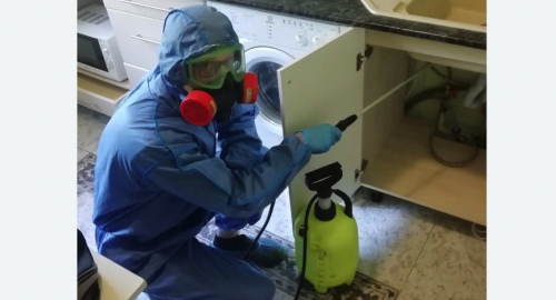 Уничтожение муравьев в квартире. Комсомольск-на-Амуре