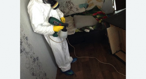 Обработка квартир от насекомых в Комсомольске-на-Амуре