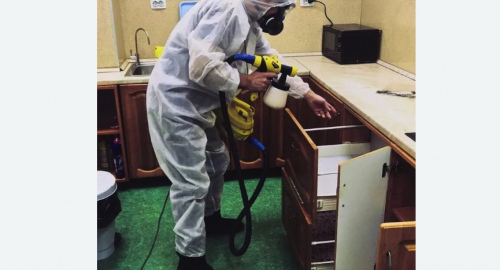 Дезинсекция квартиры. Комсомольск-на-Амуре
