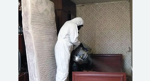 Дезинфекция от клопов в Комсомольске-на-Амуре
