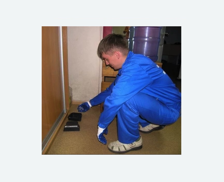 Дератизация крыс в Комсомольске-на-Амуре