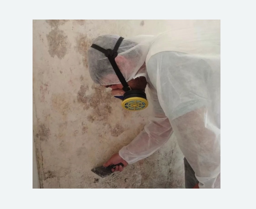 Обработка стен от плесени в Комсомольске-на-Амуре