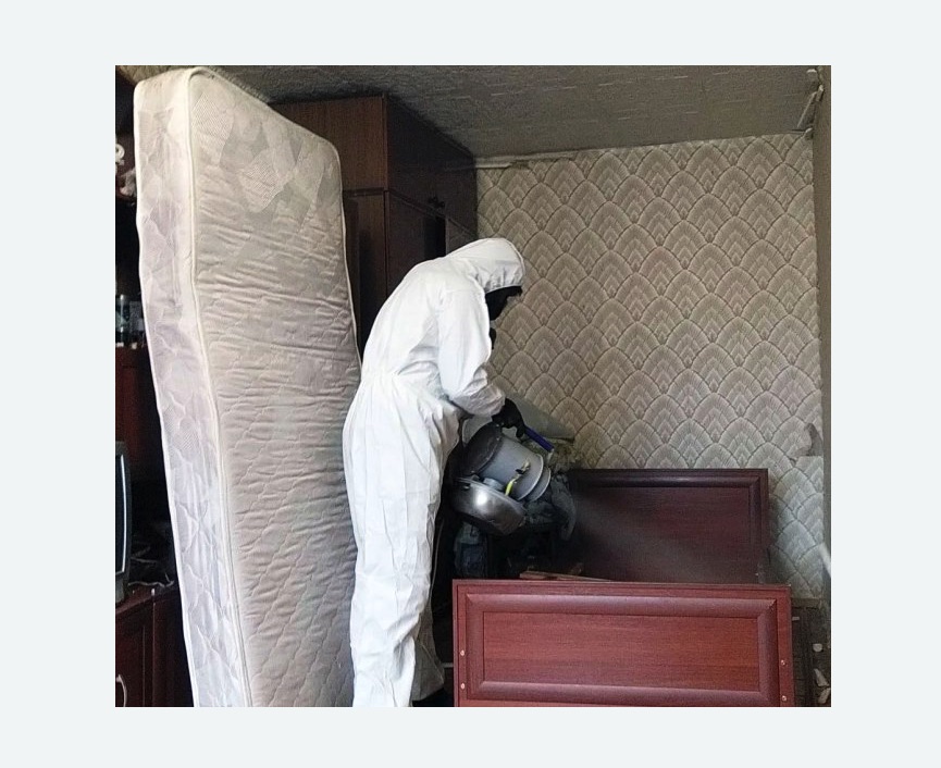 дезинфекция от клопов в Комсомольске-на-Амуре