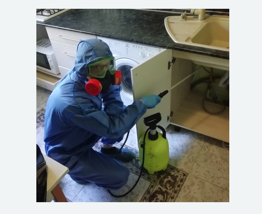 обработка от муравьев в квартире в Комсомольске-на-Амуре