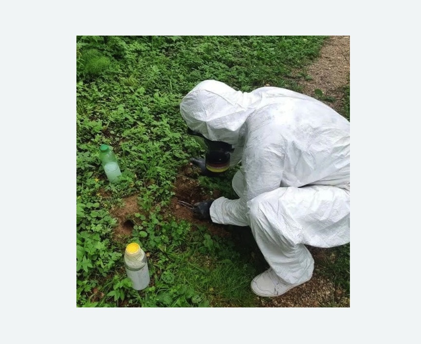 уничтожение кротов на участке в Комсомольске-на-Амуре