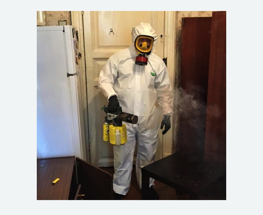 уничтожение муравьев в квартире в Комсомольске-на-Амуре